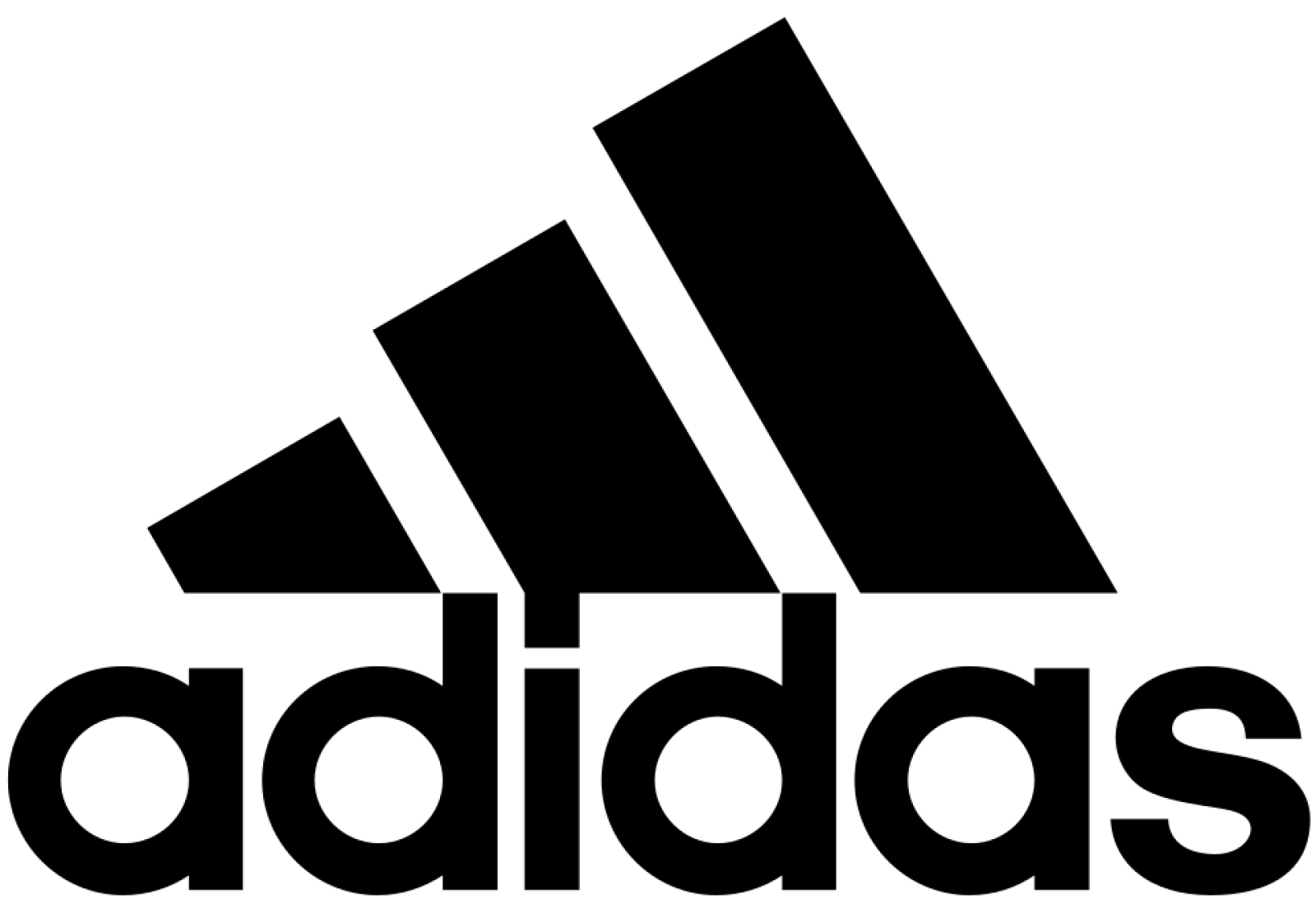 Partner 13